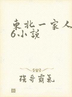 东北一家人1一6小说