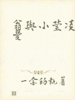 翁与小莹凌晨欢爱