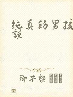 纯真的男孩子小说