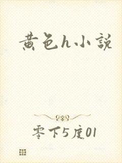 黄色h小说