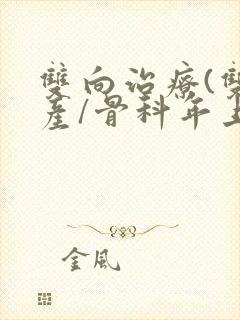 双向治疗(双/产/骨科年上)