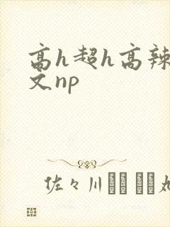 高h超h高辣h文np