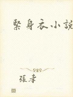 紧身衣小说