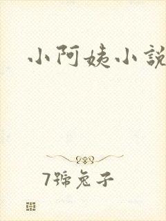 小阿姨小说