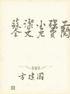 苏洁小强工地情全文免费阅读