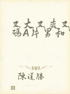 又大又爽又黄无码A片男和男