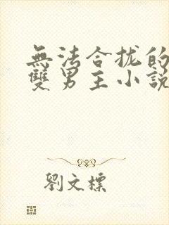 无法合拢的总裁双男主小说