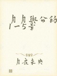 月月与公的激情1一5章