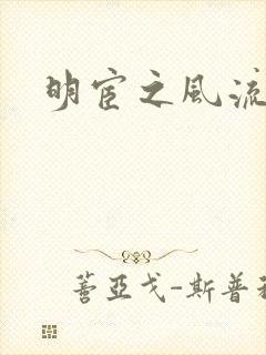 明宦之风流无边