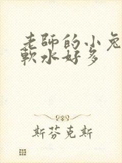 老师的小兔子好软水好多