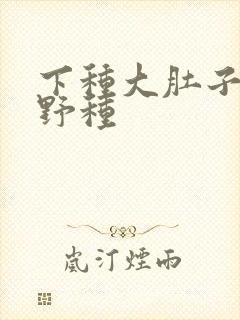 下种大肚子怀孕野种