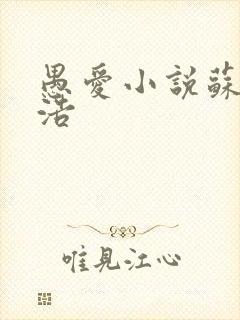 愚爱小说苏倩孙浩