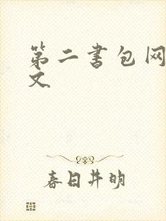 第二书包网高辣文
