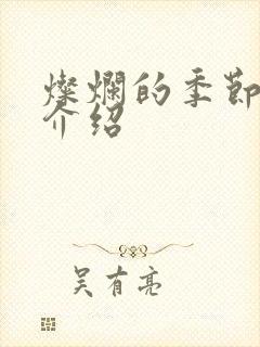 灿烂的季节剧情介绍