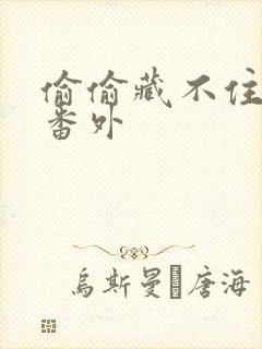 偷偷藏不住新婚番外