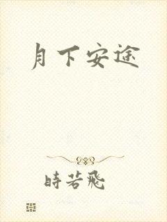 月下安途