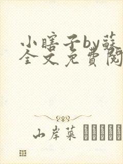 小瞎子by苏软全文免费阅读