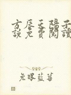 方辰天阳子的小说免费阅读