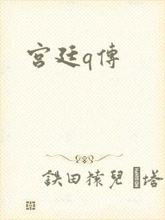 宫廷q传
