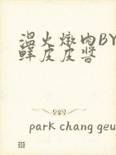 温火炖肉BY海鲜皮皮酱