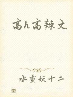 高h高辣文