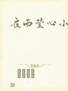 夜雨莹心小说