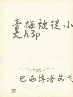 青梅被从小摸到大h3p