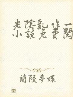 光阴乱作一团的小说免费阅读