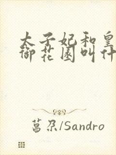 太子妃和皇帝在御花园叫什么小说