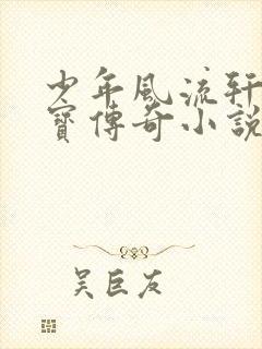 少年风流轩辕大宝传奇小说