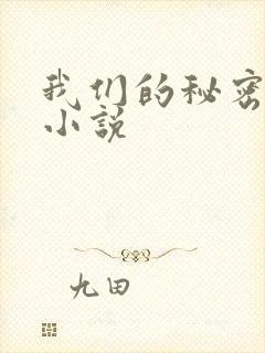 我们的秘密泰剧小说