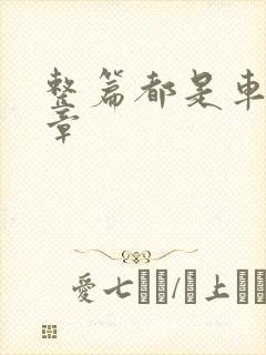 整篇都是车的文章