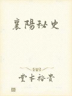 襄阳秘史