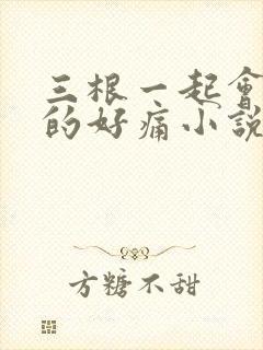 三根一起会坏掉的好痛小说