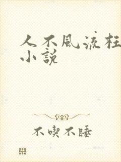 人不风流枉少年小说