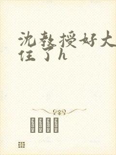 沈教授好大含不住了h