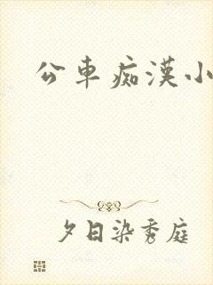 公车痴汉小说