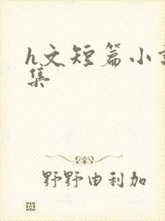 h文短篇小说合集