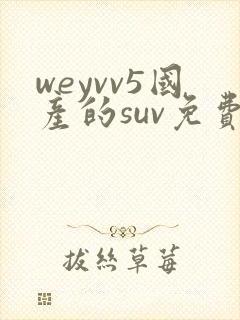 weyvv5国产的suv免费