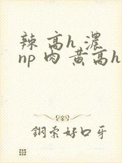 辣 高h 浓 np 肉 黄高h