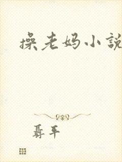 操老妈小说