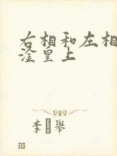 右相和左相一起淦皇上