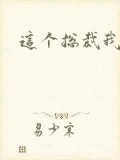 这个总裁我要了