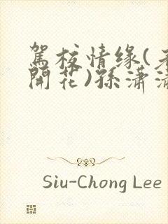 驾校情缘(老树开花)孙潇潇笔趣阁