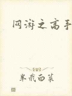 网游之高手寂寞