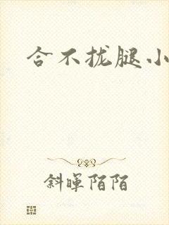 合不拢腿小说