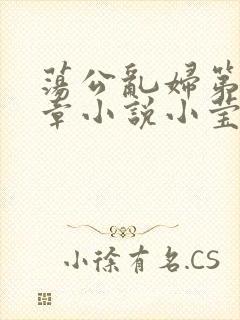 荡公乱妇第51章小说小莹