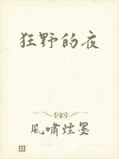 狂野的夜
