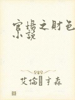 官场之财色诱人小说