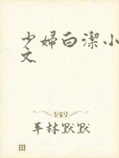 少妇白洁小说全文